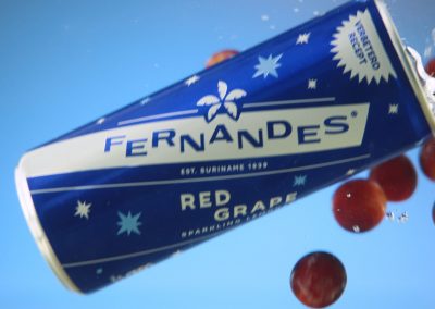 Wat is een productvideo?